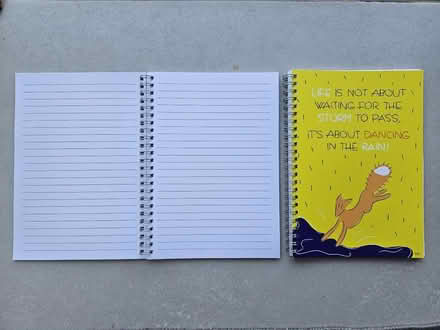 Photo of free Lined notebooks (Twickenham TW2) #2