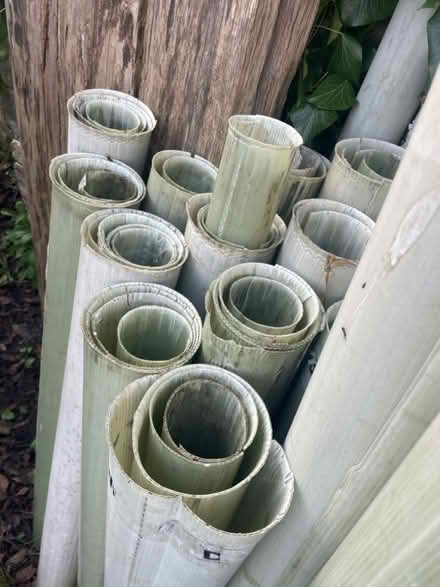 Photo of free Tree Planting tubes (BA15 Holt Road) #1