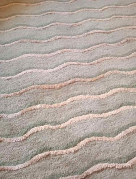 Photo of free Large rug, Poodle&Blonde bellisima (HA8, Burnt Oak) #1