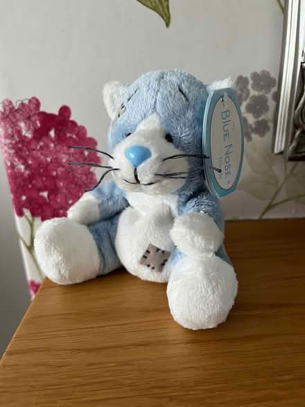 Photo of free Blue teddy (Binley, Coventry) #1