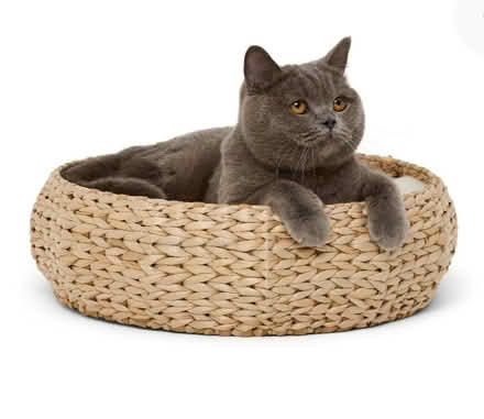Photo of Pet food and accessories (DE24) #2