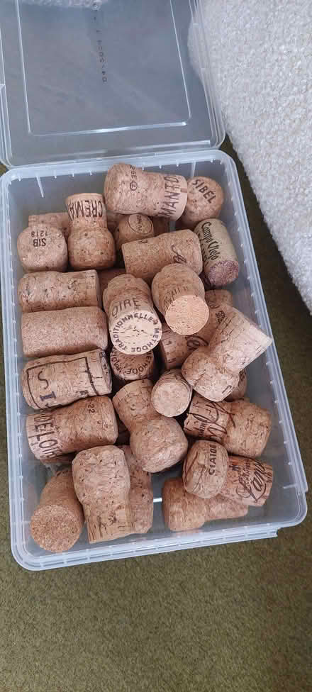 Photo of free A box of used wine corks (Gowkshill EH23) #1