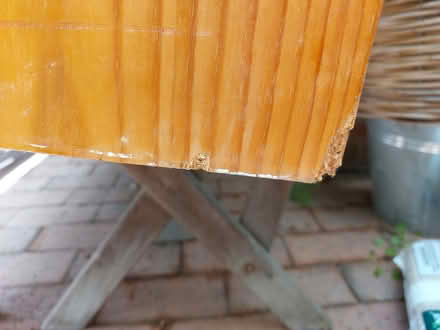 Photo of free Various items - Camperdown (Camperdown 2050) #3