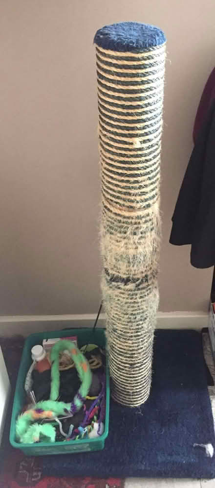 Photo of free A tall cat scratching post and toys (North Laine BN1) #1