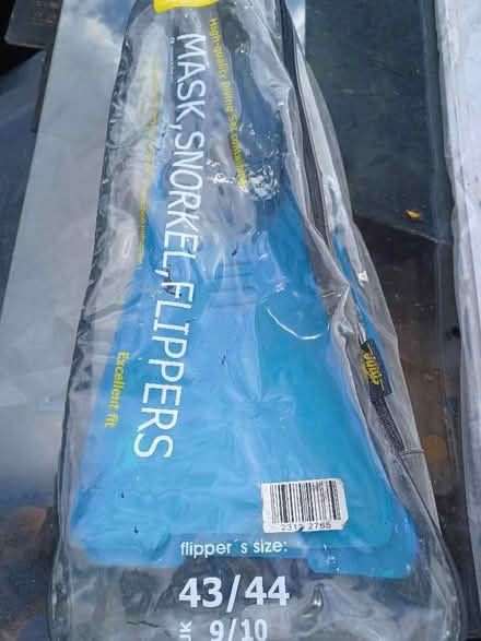 Photo of free Flippers and mask set size 43-44 (Speedwell BS5) #1