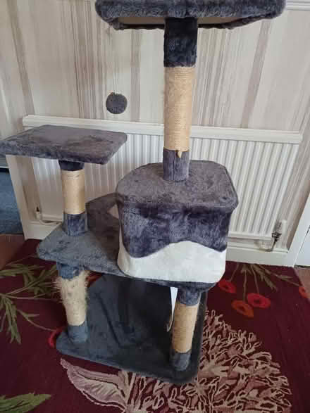 Photo of free Cat tree (Malvern Link WR14) #3