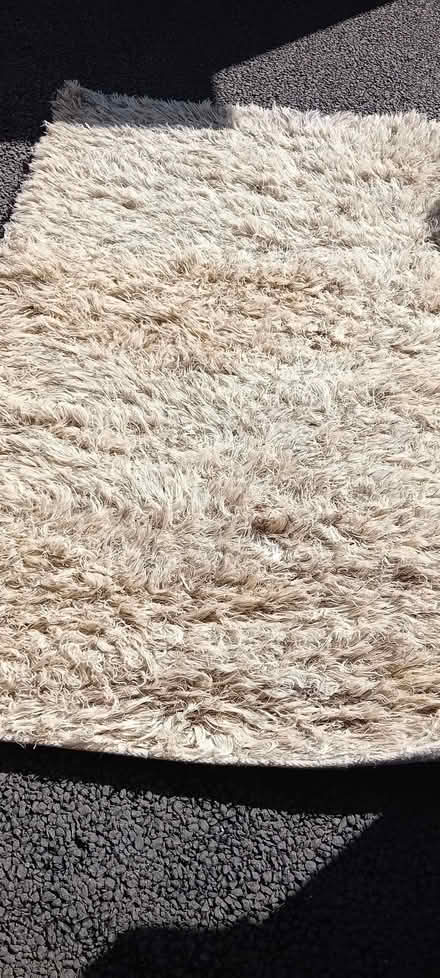 Photo of free A shaggy rug (Bramley LS13) #1