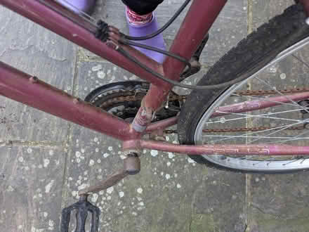Photo of free Mountain bike adult (Worthing) #1