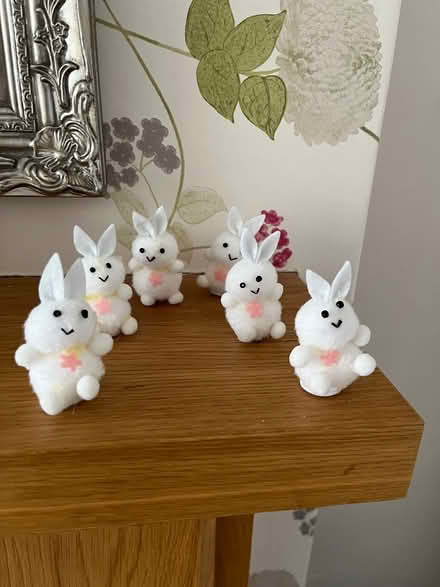 Photo of free Little rabbits (Binley, Coventry) #1