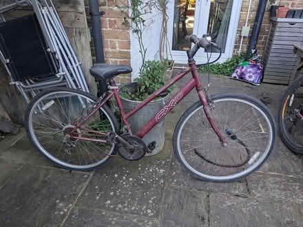 Photo of free Mountain bike adult (Worthing) #4