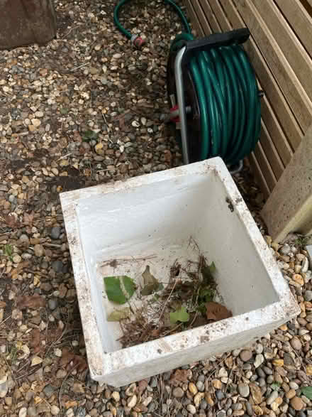 Photo of free Garden Plant Pot (White) (AL1) #2