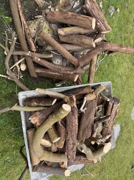 Photo of free Small logs (Welling DA16) #2
