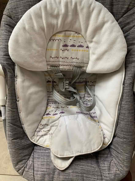 Photo of free Joie electric baby swing (Oulton broad) #2