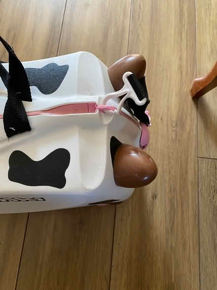 Photo of free Trunki suitcases (Horndon SS17) #3