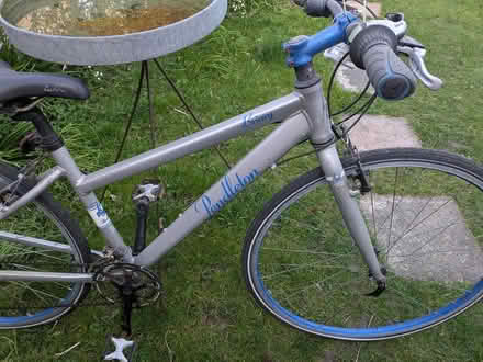 Photo of free Road bike adult Pendalton (Worthing) #1