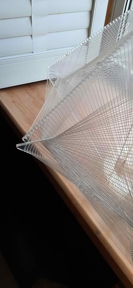Photo of free String art (Downtown Guelph) #1