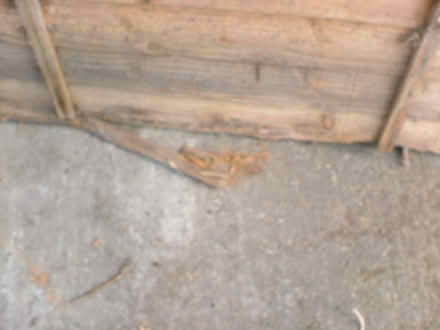 Photo of free Fence panels (OX11 Harwell) #4