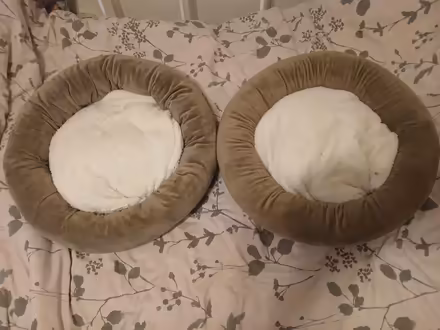 Photo of free Two Cat Beds (Turnpike Lane N15) #1