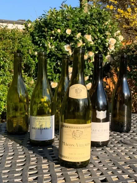 Photo of free 6 Green burgundy bottles (New Malden, KT3) #1