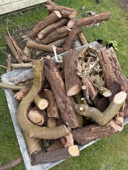 Photo of free Small logs (Welling DA16) #1