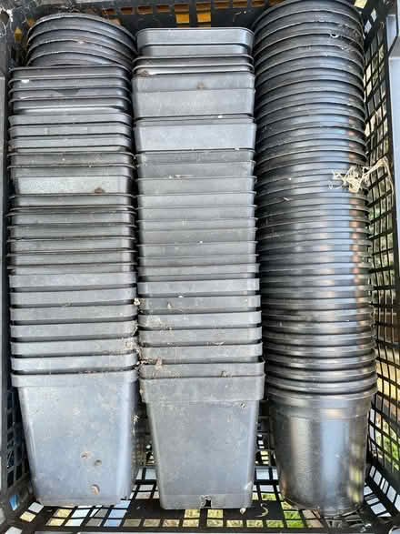 Photo of free Job lot of plastic plant pots (Warden Hill GL51) #1