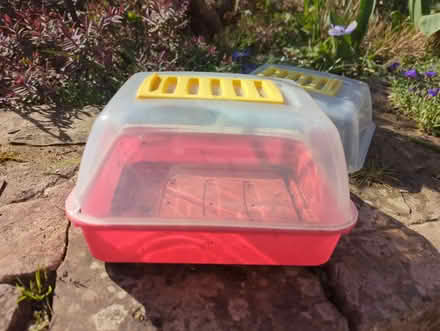 Photo of free Children's seed propagator (Sheffield S12) #2