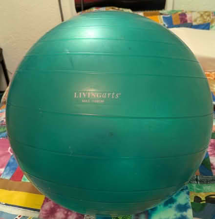 Photo of free 65 cm exercise ball (North City part of Shoreline) #1