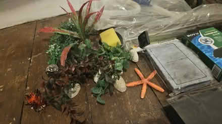 Photo of free aquarium stuff (CO1 Newtown) #3