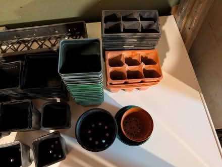 Photo of free Collection of Seedling Start Pots (Sylvan Township Near Chelsea) #3