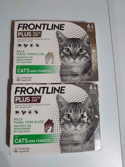 Photo of free Frontline Plus for cats (Basford CW2) #3