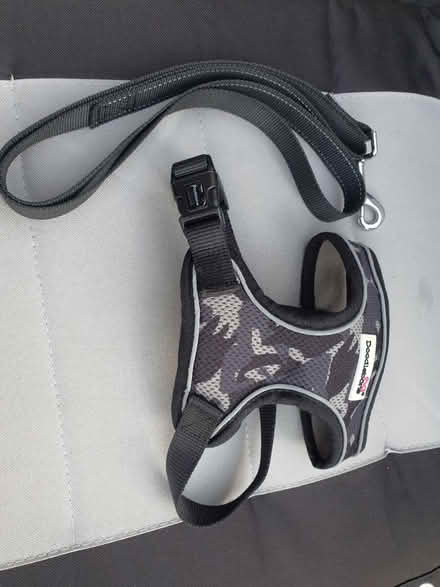 Photo of free Dog harness (Darnall S9) #1