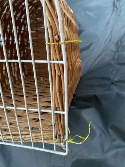 Photo of free Cat / small animal basket (NG7) #2