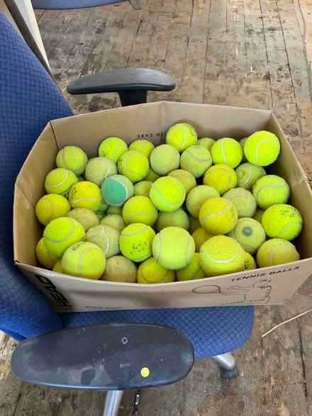 Photo of free Tennis balls... lots (Forest row) #1