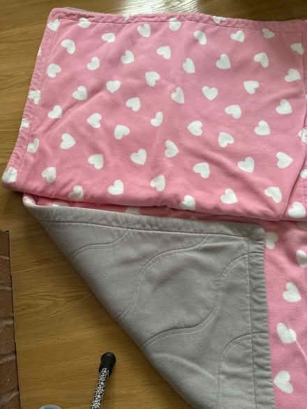 Photo of free Pet bedding (Ludlow SY8) #1