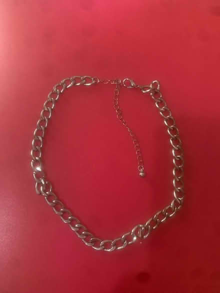 Photo of free Chain necklace (West Reading RG1) #1