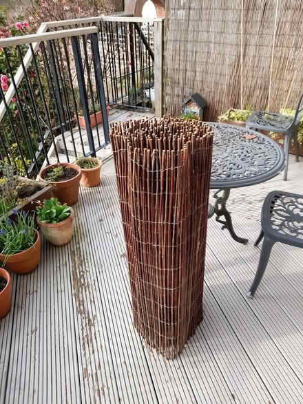 Photo of free Wicker garden screen (Middle of Morpeth NE61) #2