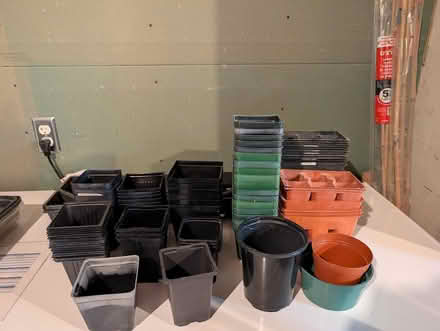 Photo of free Collection of Seedling Start Pots (Sylvan Township Near Chelsea) #1