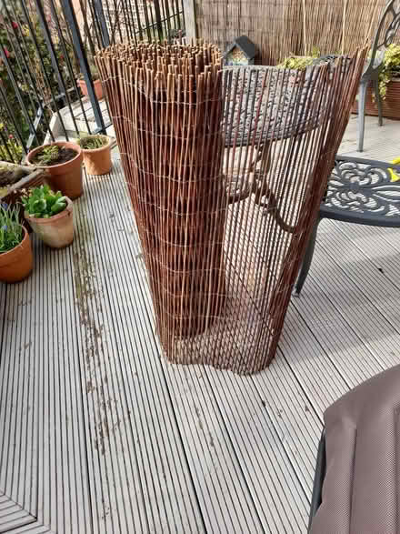 Photo of free Wicker garden screen (Middle of Morpeth NE61) #1