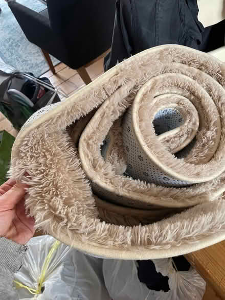 Photo of free fluffy cream carpet, very big (OX1 New Hinksey) #1