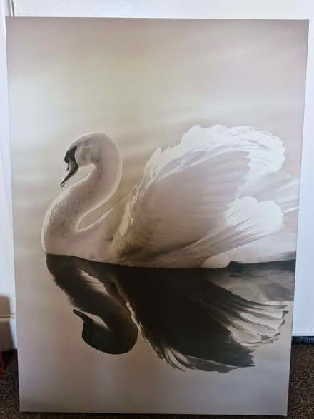 Photo of free Spring Clearout * (Currie EH14) #2