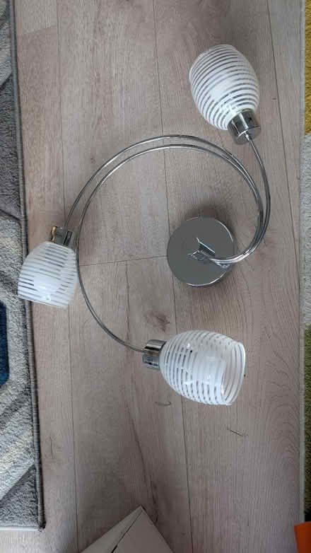 Photo of free Ceiling light (Dagenham RM10) #1