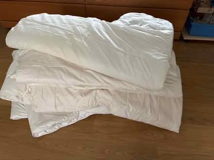 Photo of free Duvets (Ludlow SY8) #1