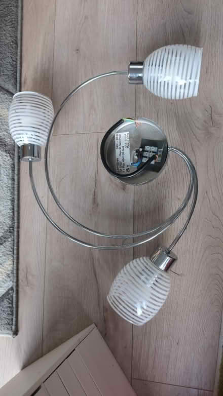 Photo of free Ceiling light (Dagenham RM10) #2