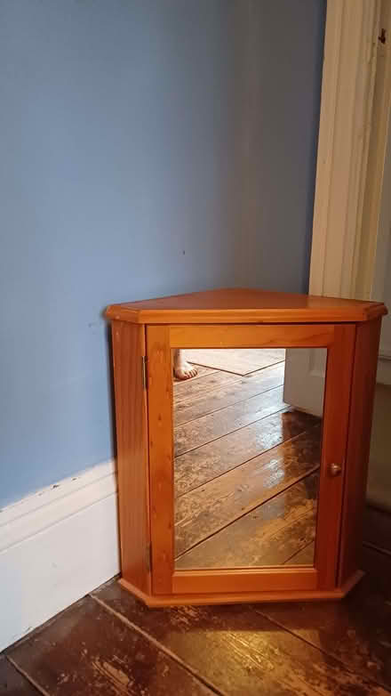 Photo of free Small corner bathroom cabinet (Charlton OX12) #1