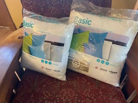 Photo of free 2 new pillow forms (Mountain View/Wynantskill) #1