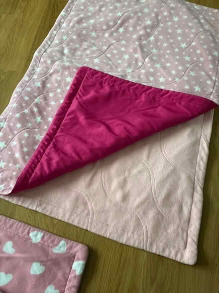Photo of free Pet bedding (Ludlow SY8) #2