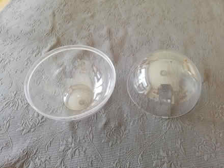 Photo of free Plastic terrarium (Bradway S17) #2