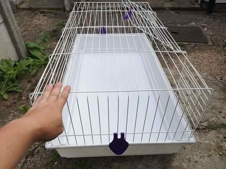 Photo of free Pet cage (Thorpe Hamlet NR1) #1