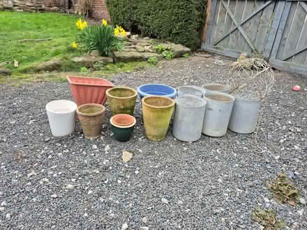 Photo of free Variety of plant pots (Whittle Hill NE61) #1