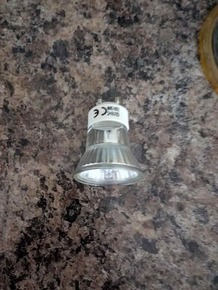 Photo of free Six Mini GU10 halogen light bulbs (Lion Gate TW9) #2